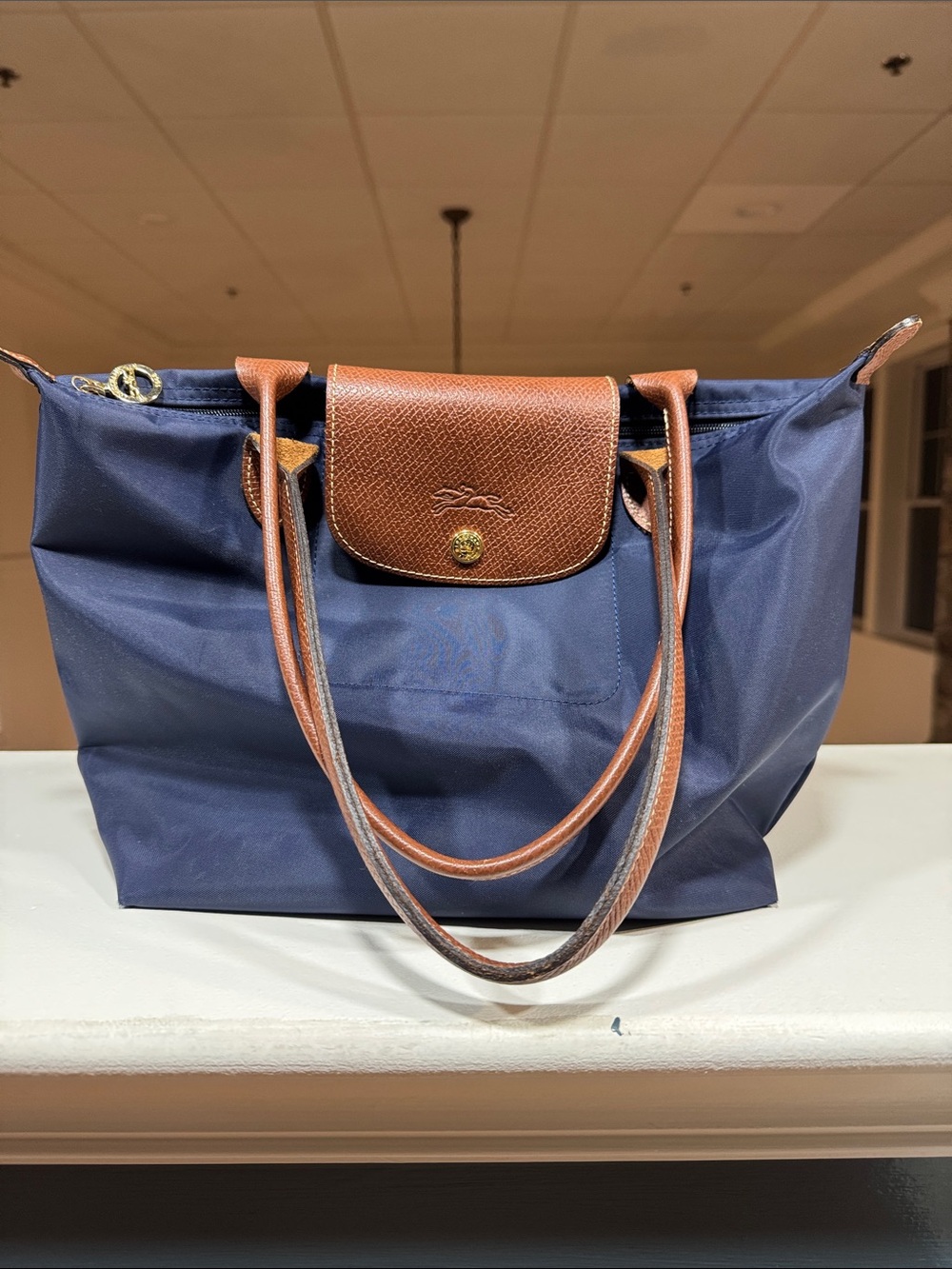 Longchamp Le Pliage Tote